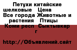 Петухи китайские шелковые › Цена ­ 1 000 - Все города Животные и растения » Птицы   . Коми респ.,Сыктывкар г.